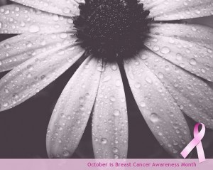 BreastCancerAwareness-300x239.jpg