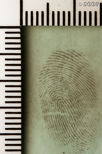 fingerprints.jpg